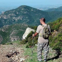 Girondolone del giorno